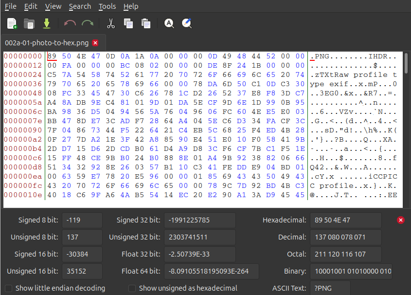 the same image file of a dog opened in a hex editor, showing its contents as hexadecimal and decoded text.