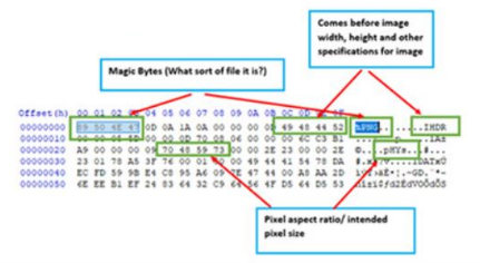 the same image file of a pig shown as hexadecimal, annotated to show the magic bytes, the image header and the pixel specifications