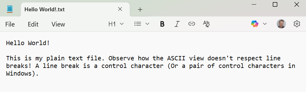 image shows our plain-text file as it would be viewed in a standard text editor, e.g. MS Notepad.