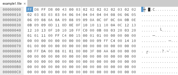 image shows the hexadecimal representation of a JPEG file in a hex editor's user interface.