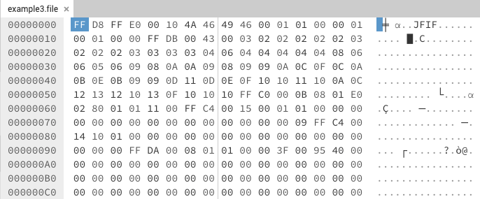image shows the hexadecimal representation of another JPEG file in a hex editor allowing us to identify differences in patterns.